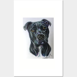 Staffordshire Bull Terrier Posters and Art